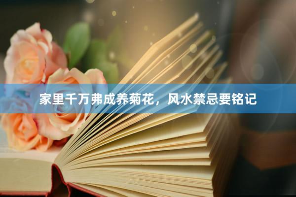 家里千万弗成养菊花，风水禁忌要铭记